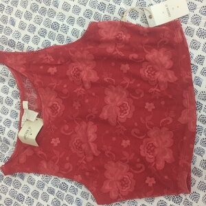 Forever 21 Scarlet Floral Lace Crop Top